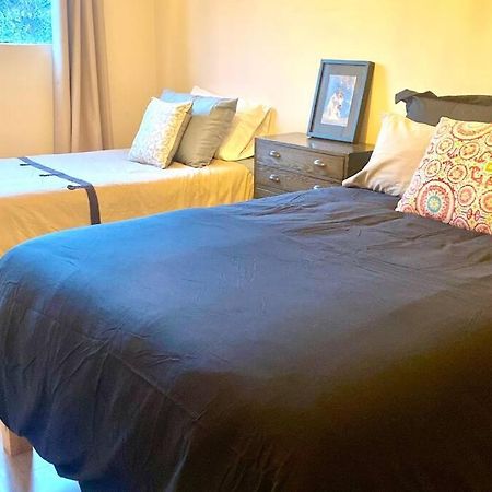 Amazing Cozy Apartment In Condesa 멕시코 시 외부 사진