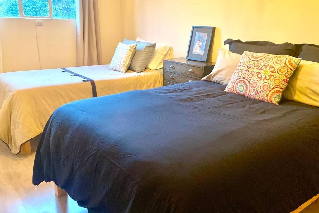 Amazing Cozy Apartment In Condesa 멕시코 시 외부 사진