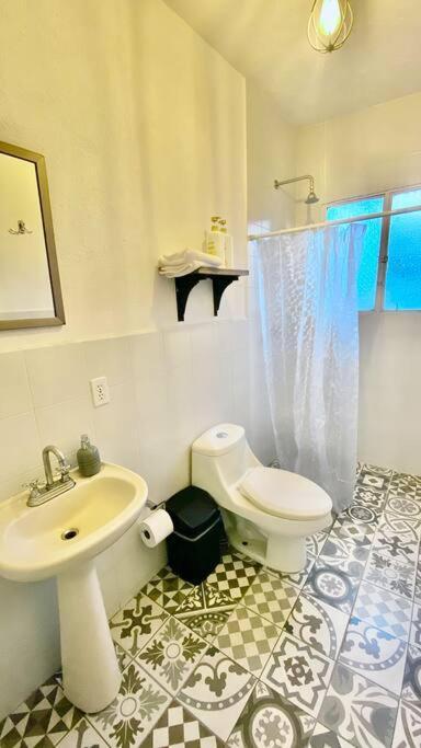 Amazing Cozy Apartment In Condesa 멕시코 시 외부 사진
