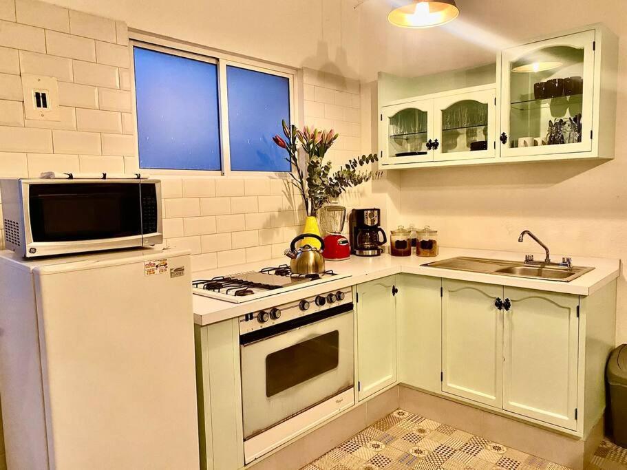 Amazing Cozy Apartment In Condesa 멕시코 시 외부 사진